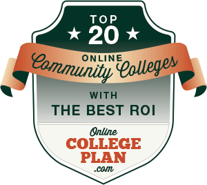 Online Community Colleges with the Best ROI
