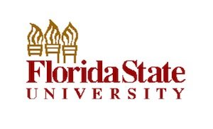 fsu online degree
