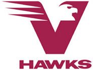 Vhawk Logo