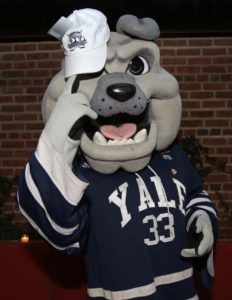 Yale University Mascot