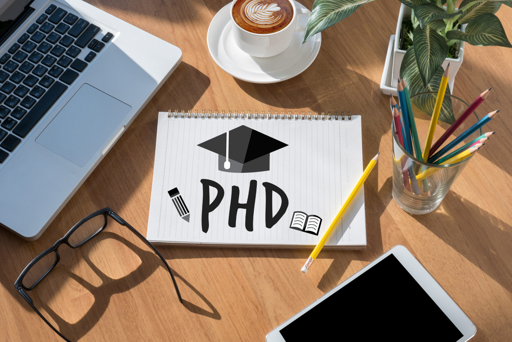 doctor degree and phd