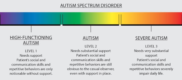 autism spectrum test wheel