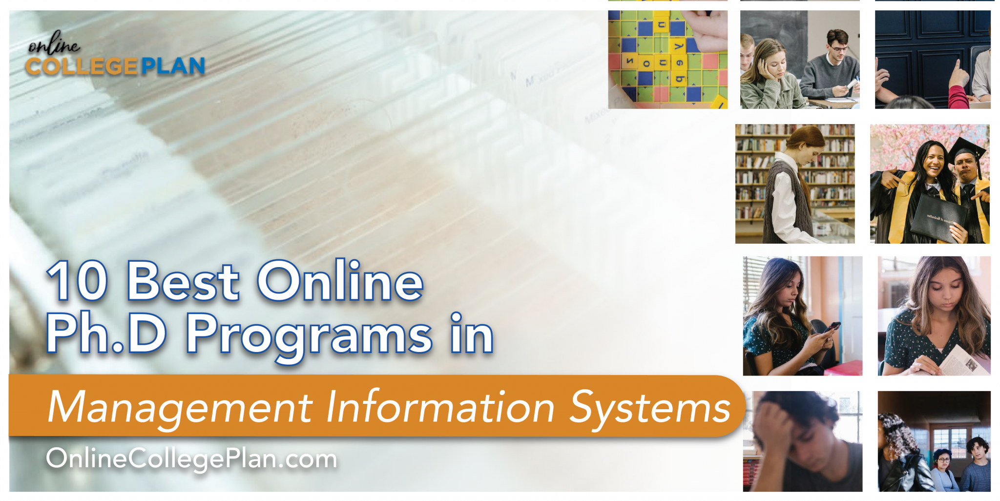 phd education management online