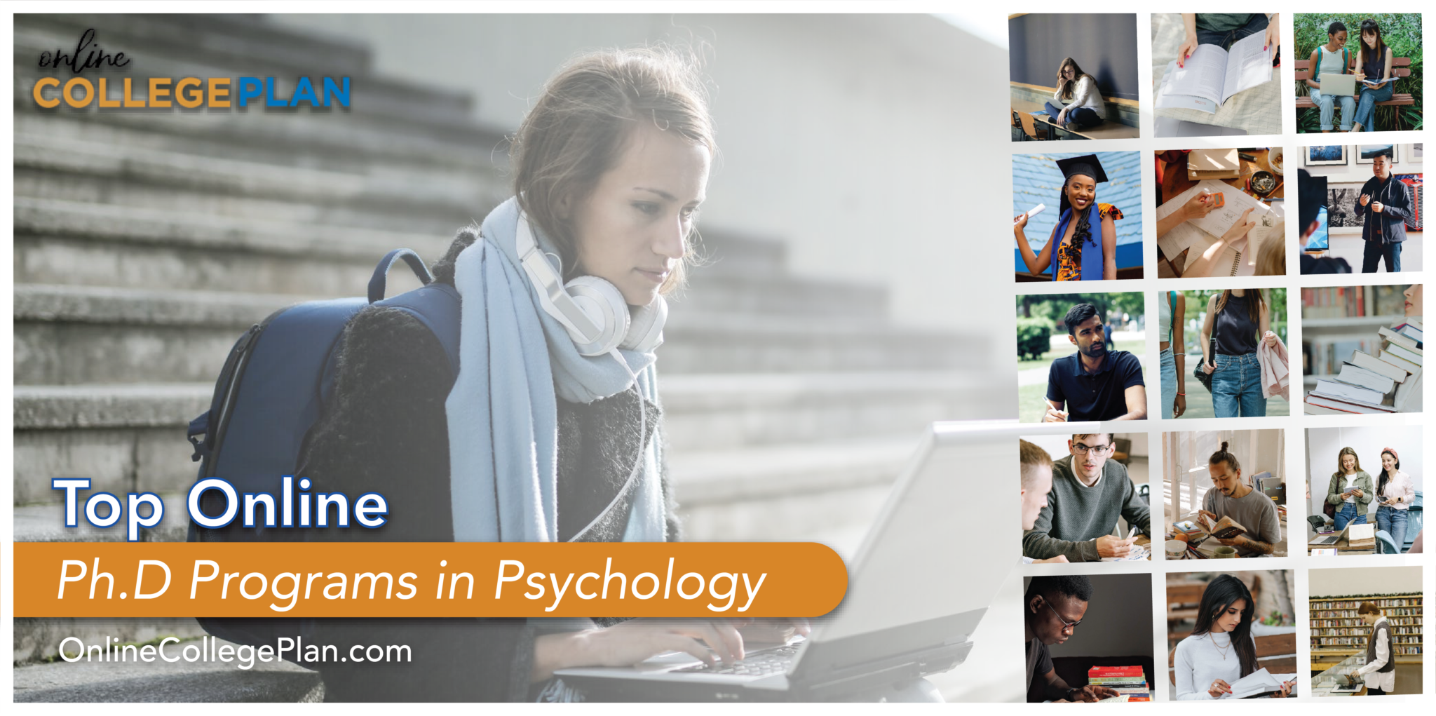 phd psychology online usa