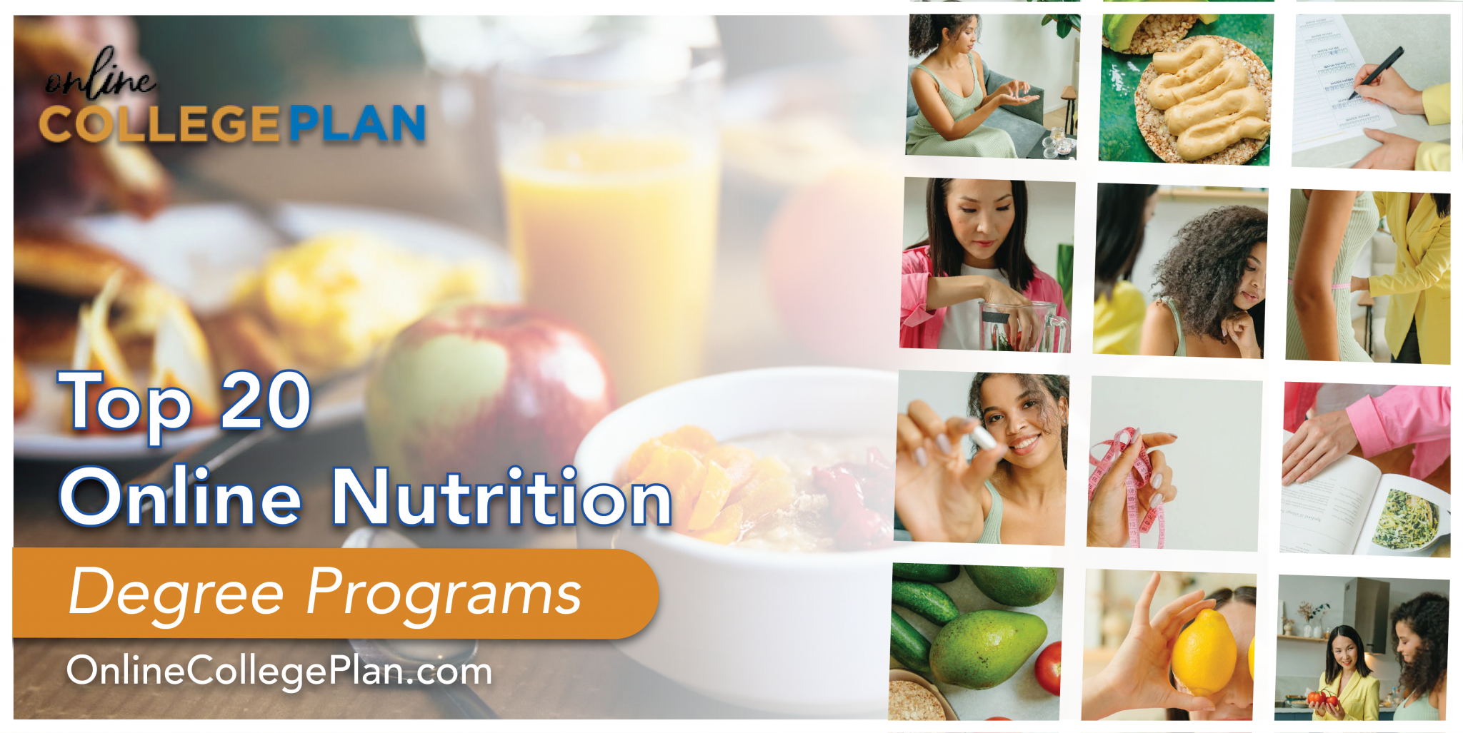 Top 20 Online Nutrition Degree Programs